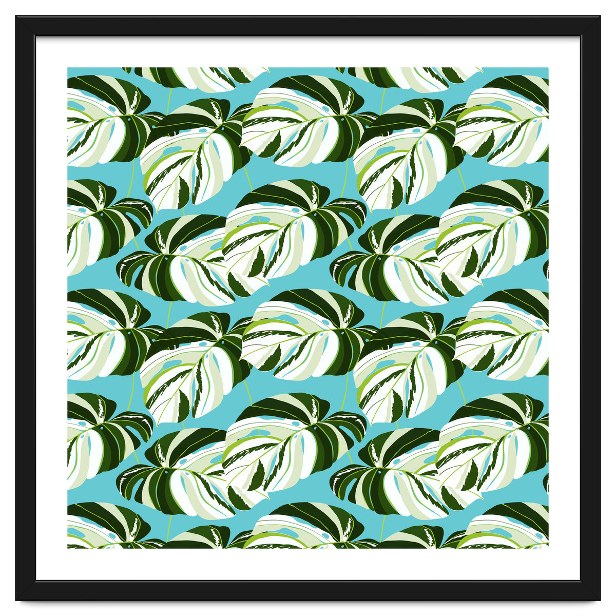 Summer Variegated Monstera | Rainforest Jungle botanical Plants Illustration | Boho Tropical Nature