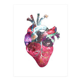 Superstar Heart (Print Only) thumbnail