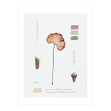 Botanical Notes (Print Only) thumbnail