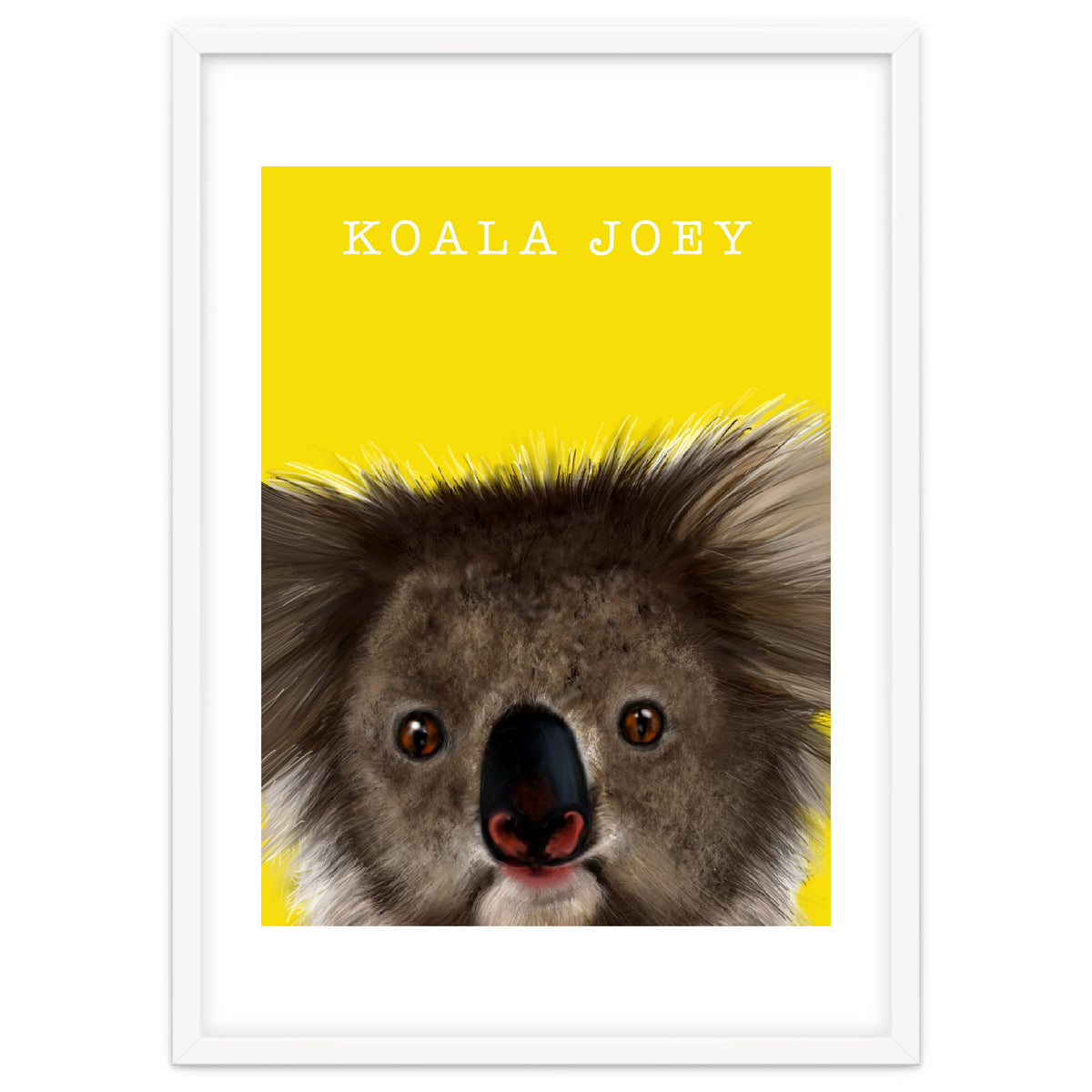 Koala Joey