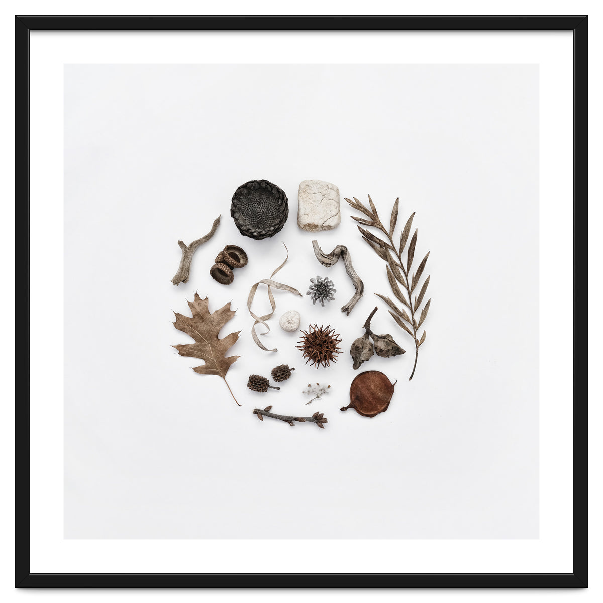 Treasures From Nature No. 2 - Square