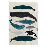 Whales (Print Only) thumbnail