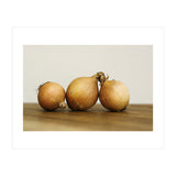 Onions (Print Only) thumbnail