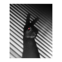 Shadow Bunny (Print Only)