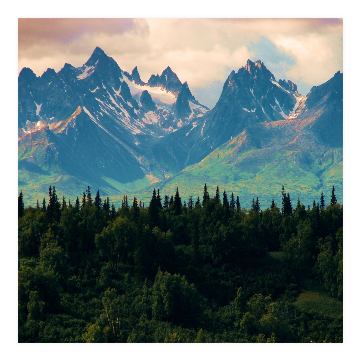 Escaping from woodland heights II (Print Only)