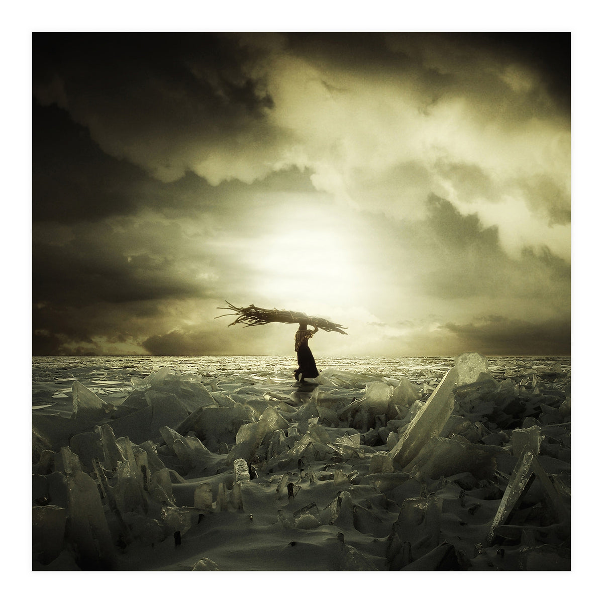 Frozen Nation (Print Only)