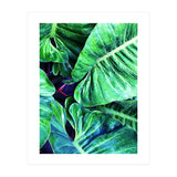 Another Botanical (Print Only) thumbnail