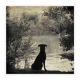 Waiting for you (Print Only) thumbnail