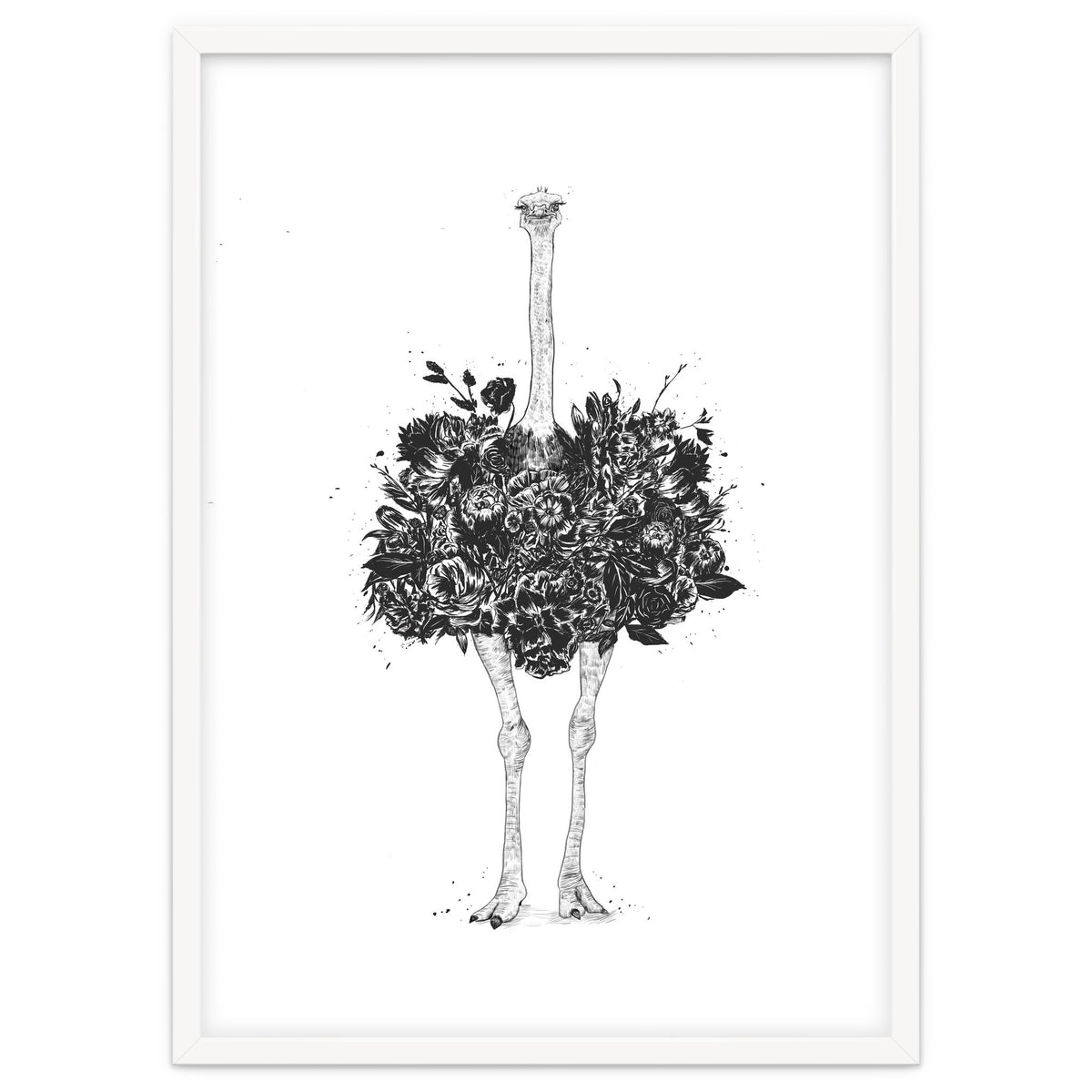 Floral Ostrich