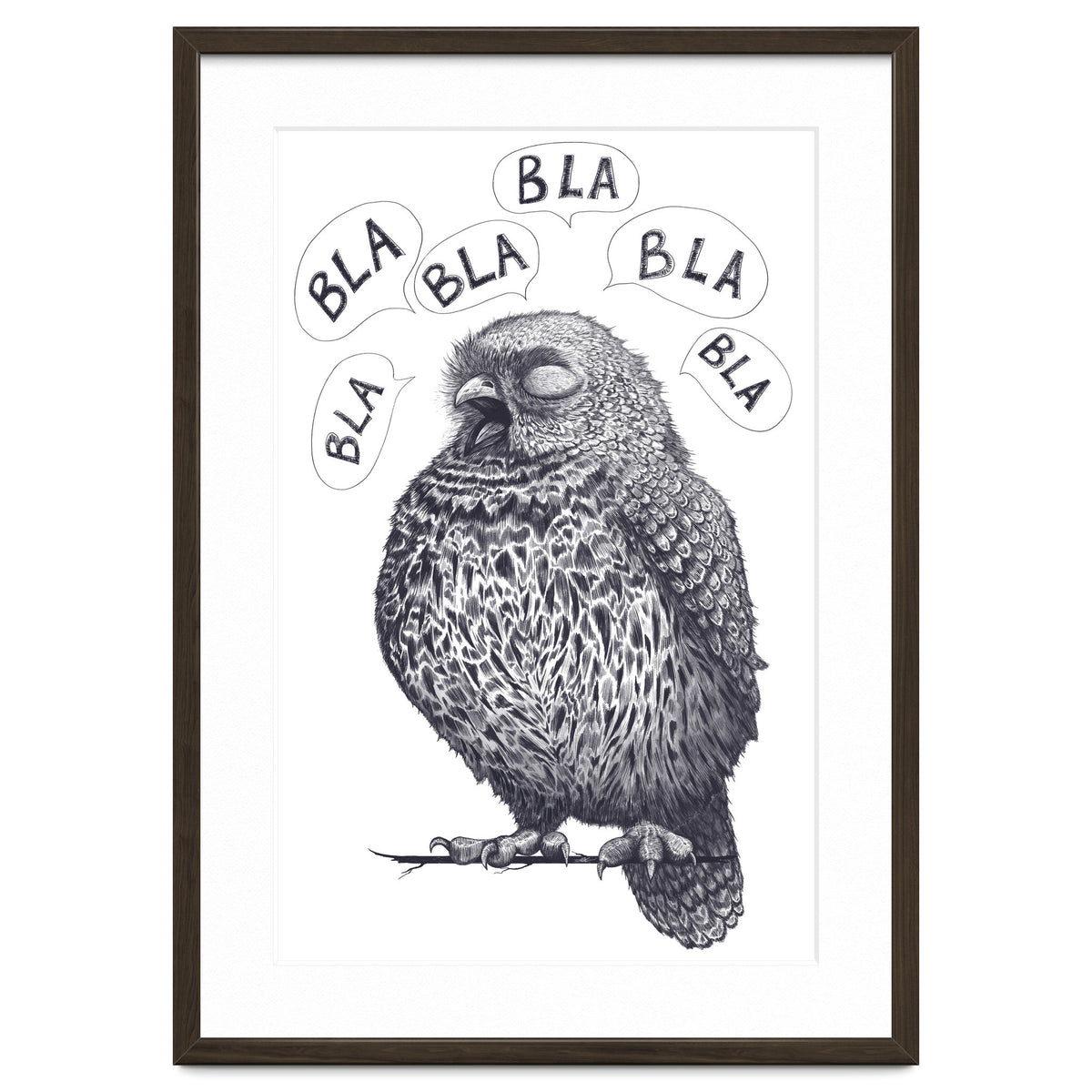 Owl Bla Bla Bla