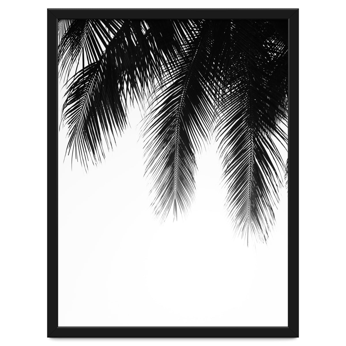 Palm leaves