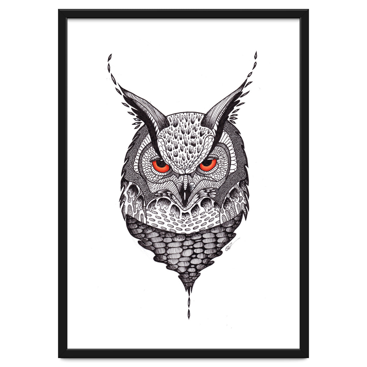 Owl
