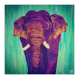 Purple wisdom (Print Only) thumbnail