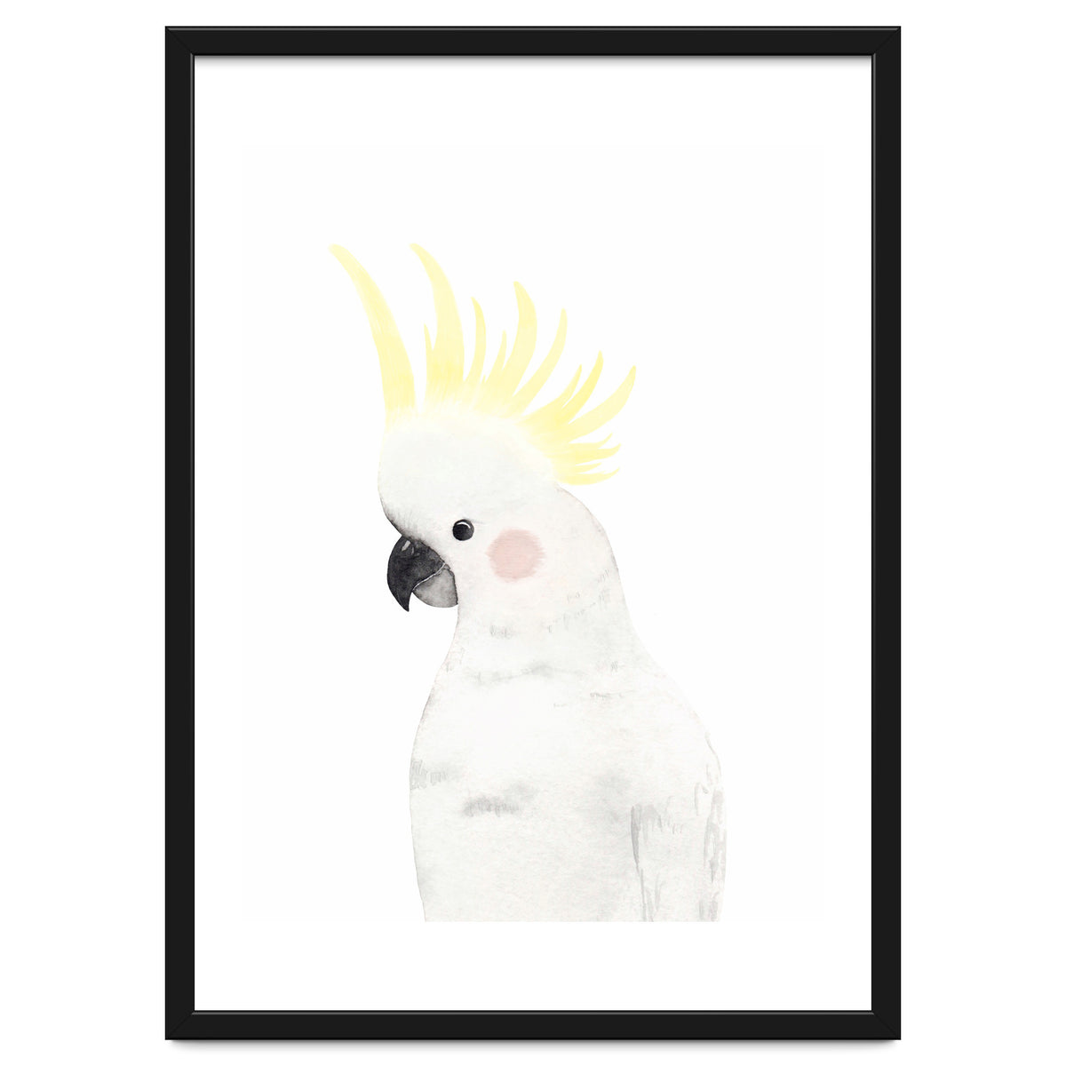 Sweet Cockatoo