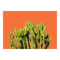 Bold Cactus (Print Only)