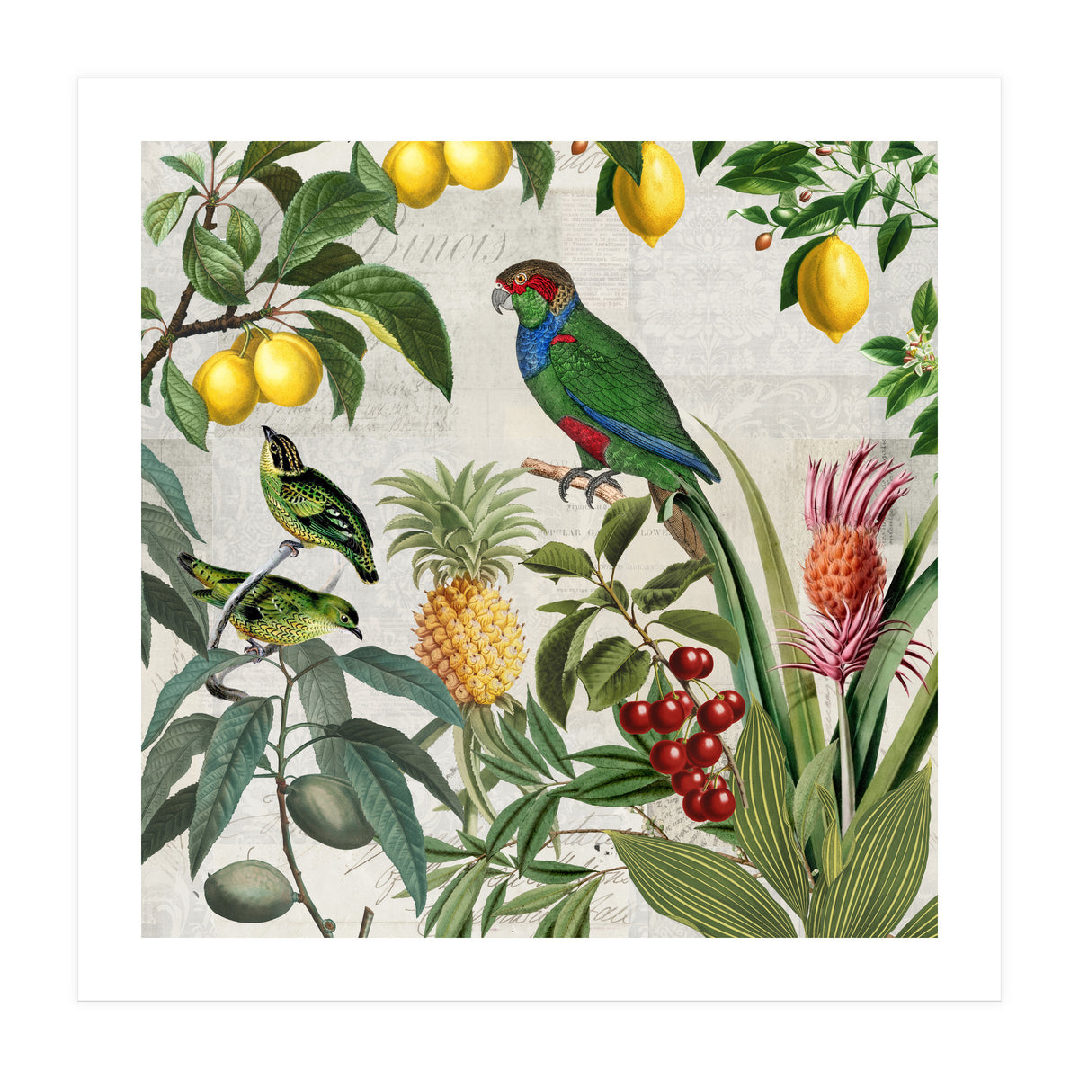 Fruit Paradise (Print Only)