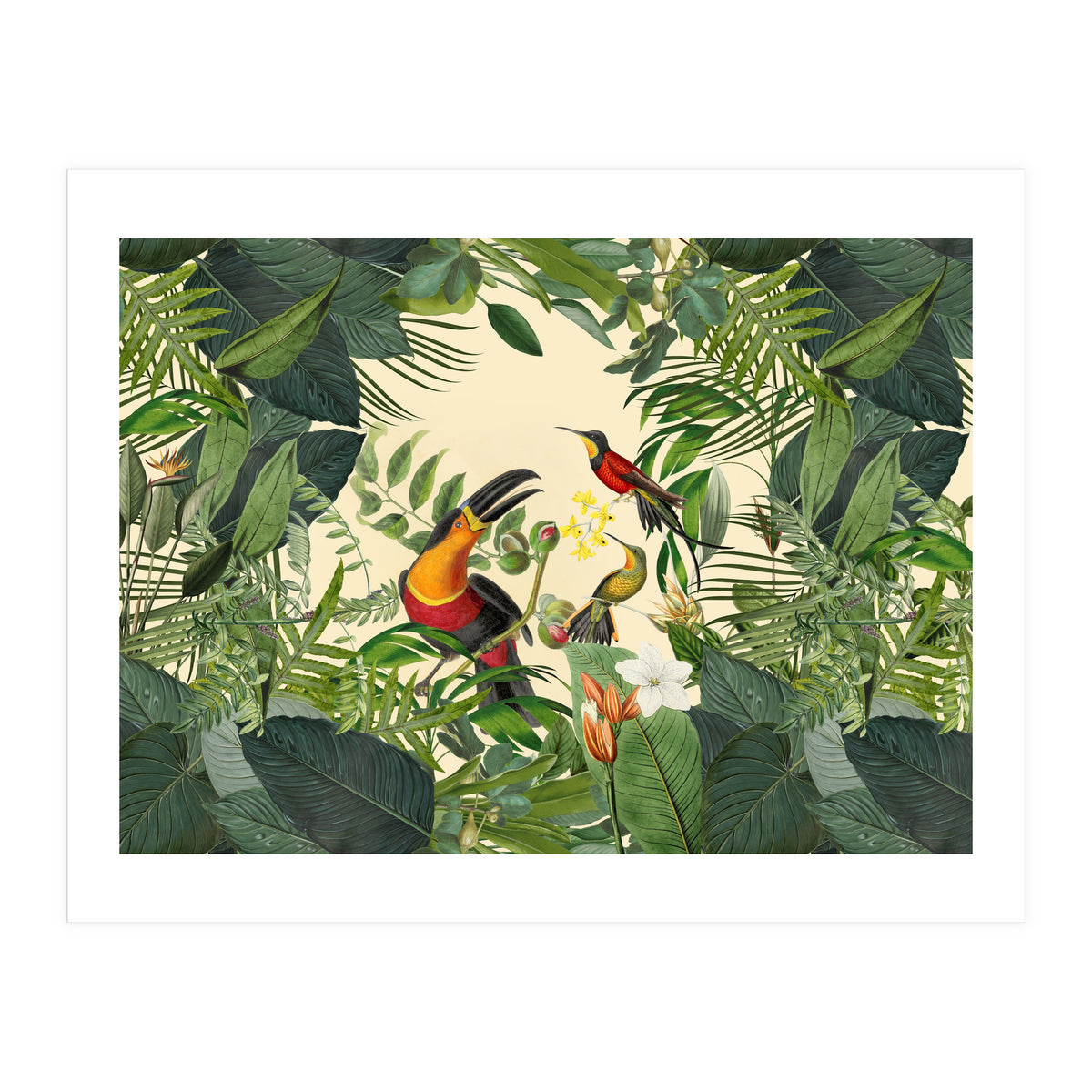 Green Jungle Toucans 2 (Print Only)
