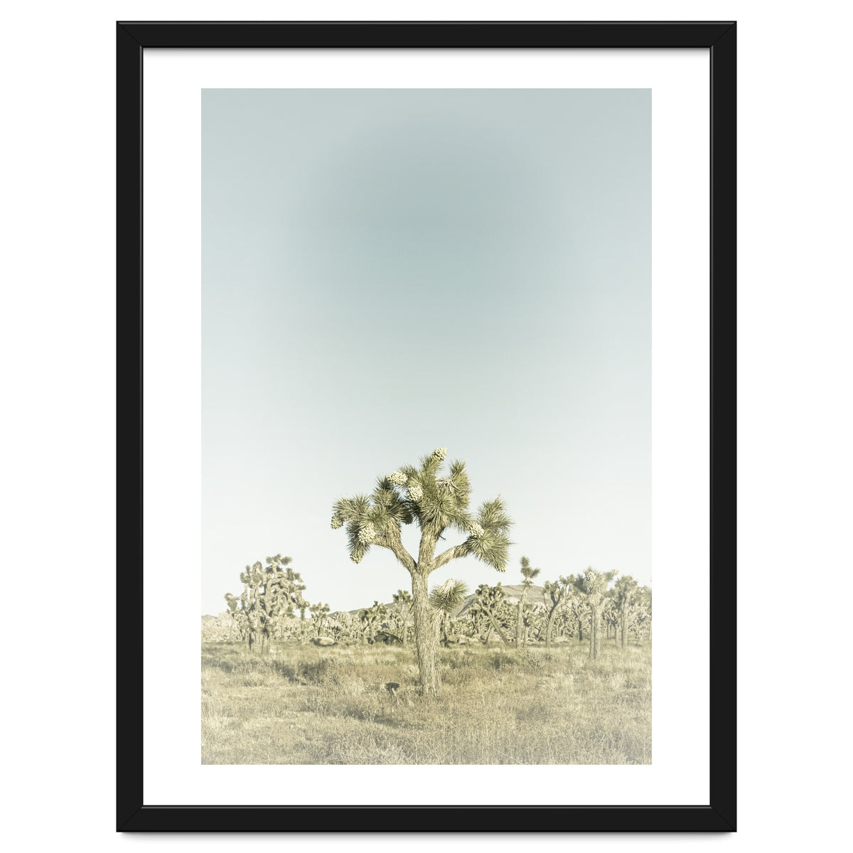 Vintage Joshua Tree