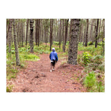 Into the forest (Print Only) thumbnail