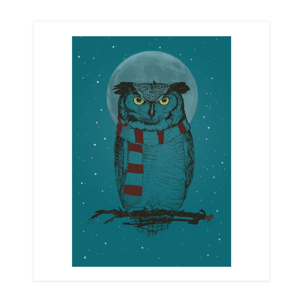 Winter Owl II (Print Only)