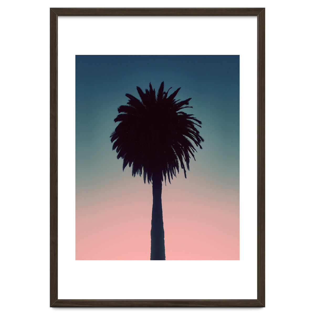 Sundown Palm