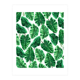 Taro (Print Only) thumbnail