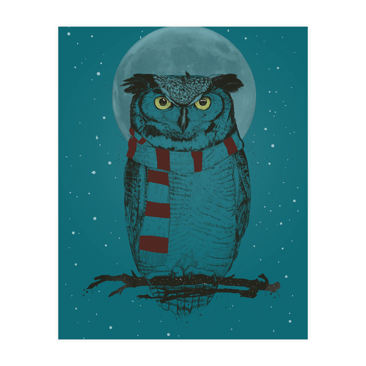 Winter Owl II (Print Only)