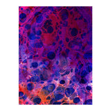 Color Overdose (Print Only) thumbnail