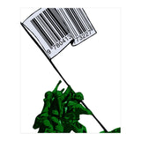 Raising The Flag Of Commerce  (Print Only) thumbnail