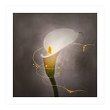 Graceful flower - Calla No. 4 | vintage style gold (Print Only) thumbnail