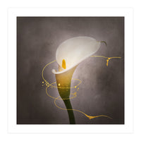 Graceful flower - Calla No. 4 | vintage style gold (Print Only)
