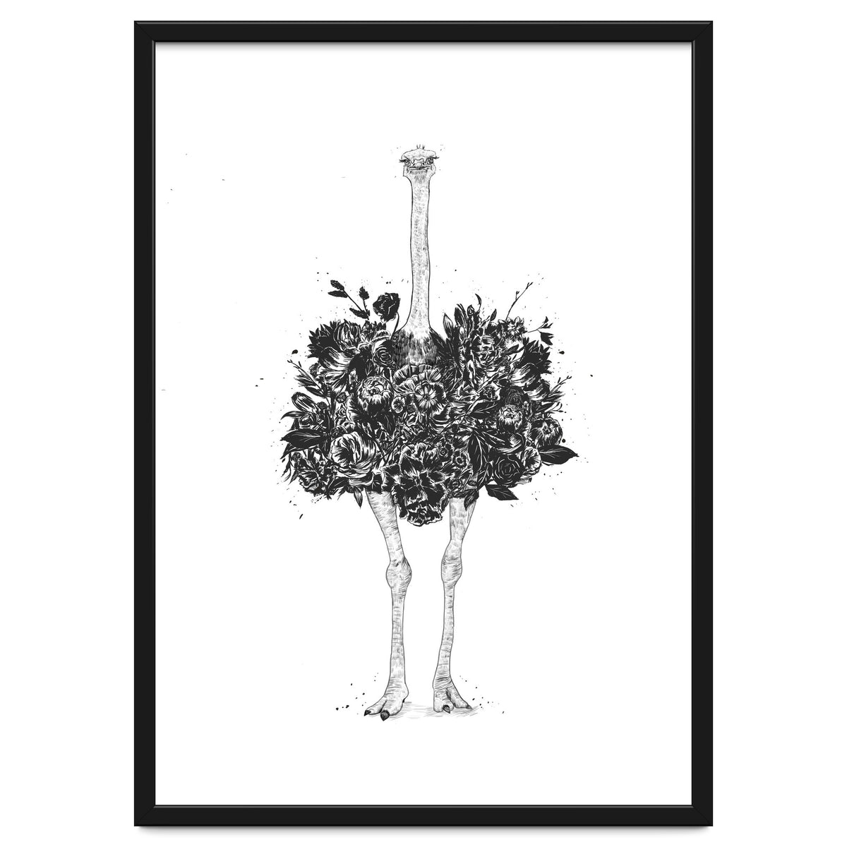 Floral Ostrich