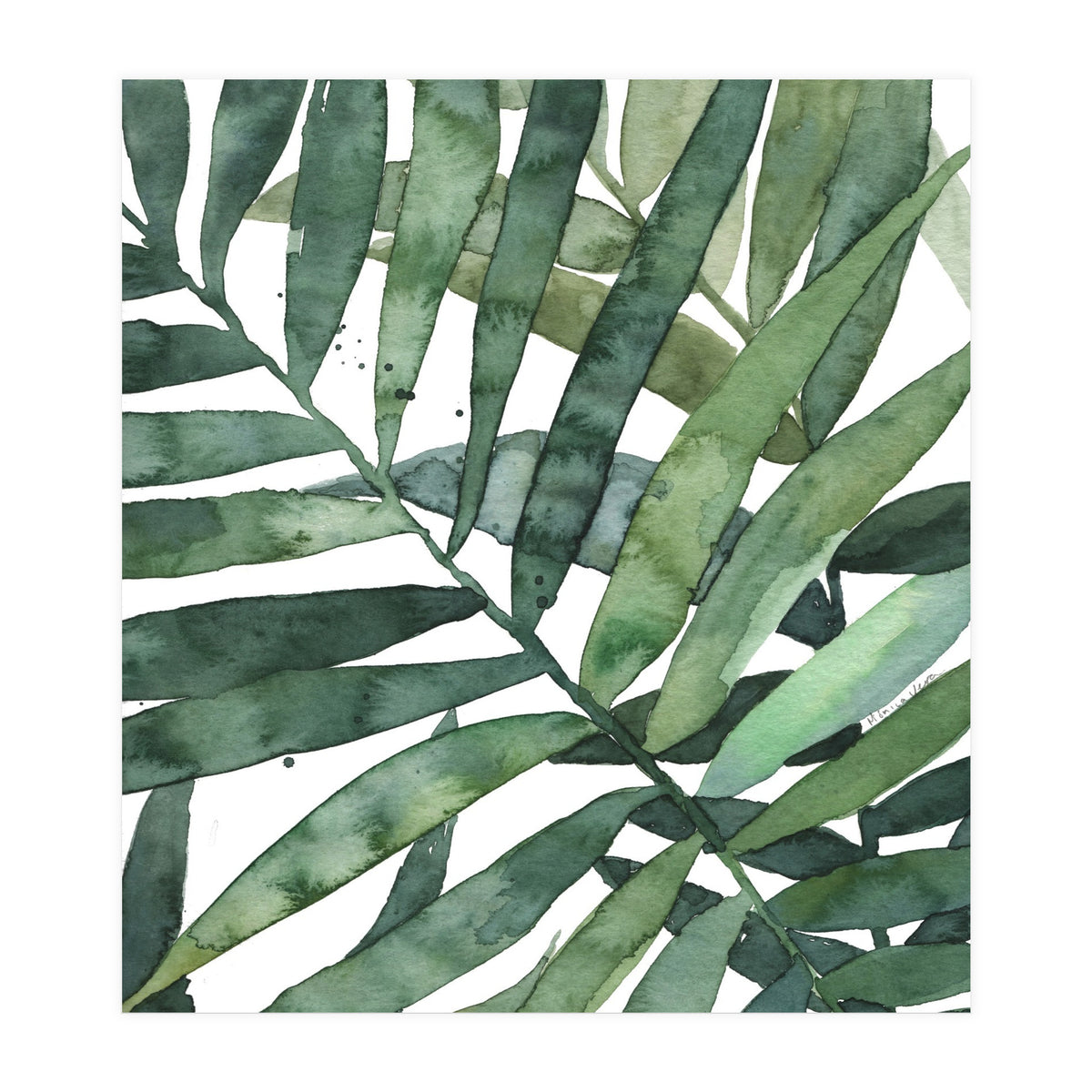 tropical 5 (Print Only)