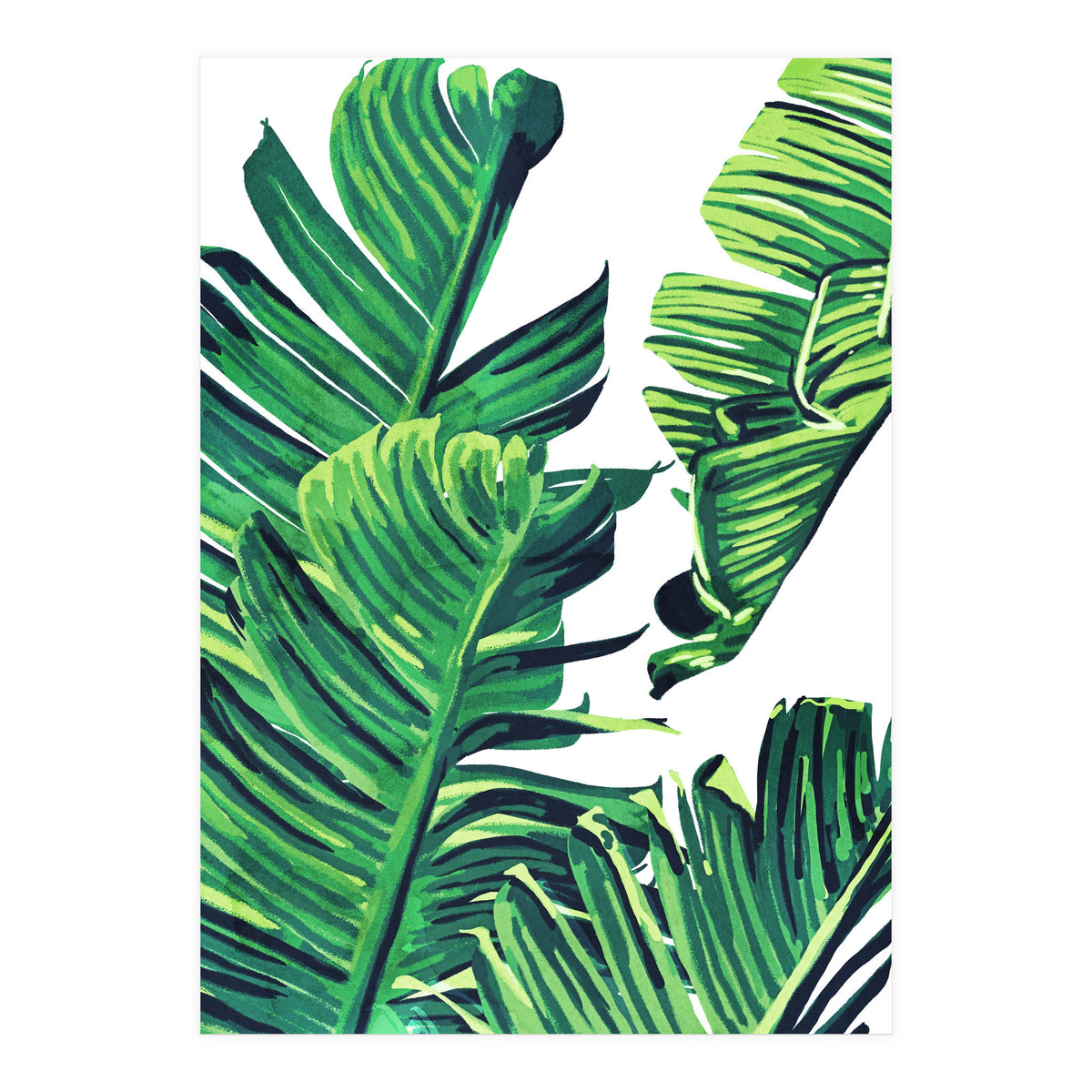 Banana Tree Leaves (Print Only)
