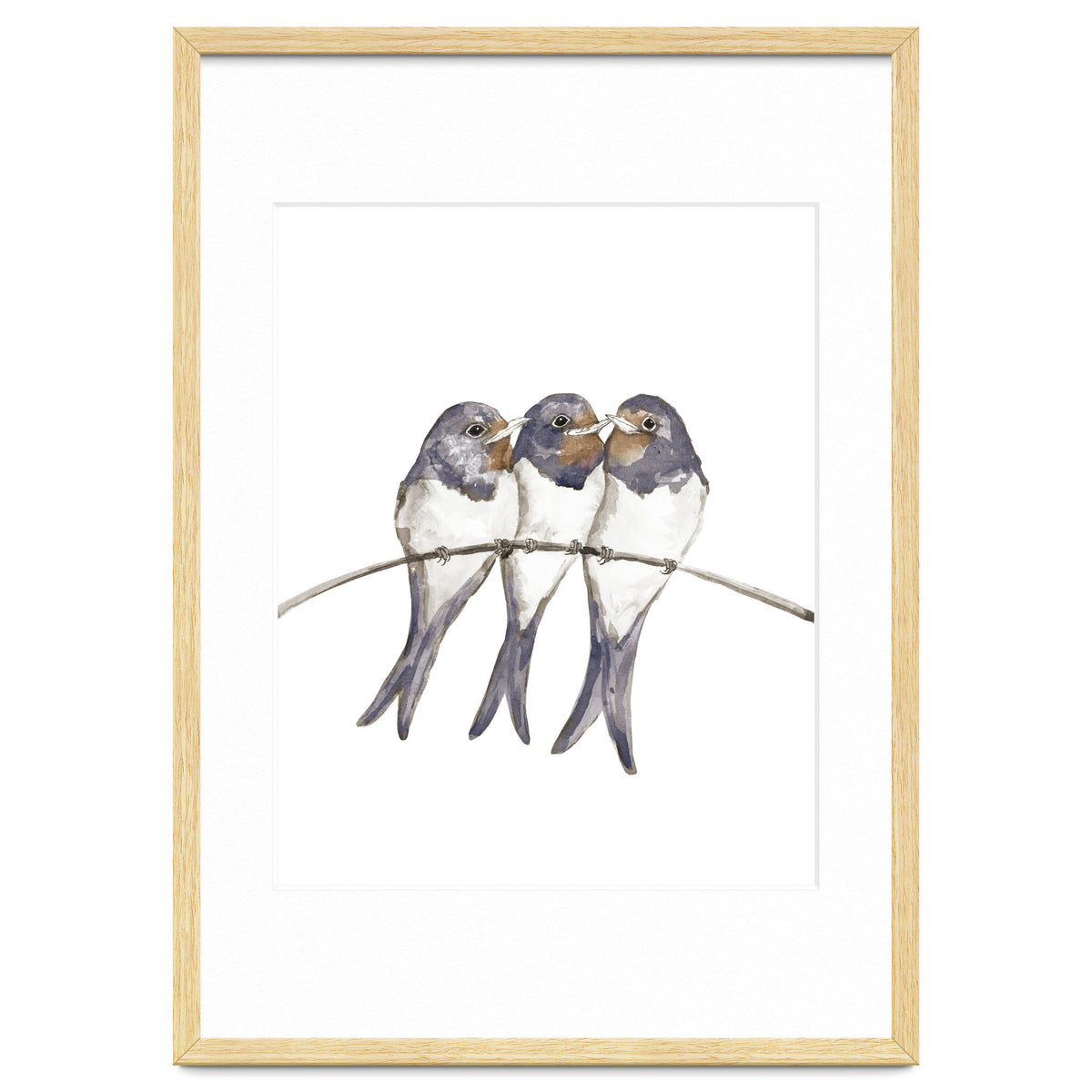 Three young swallows