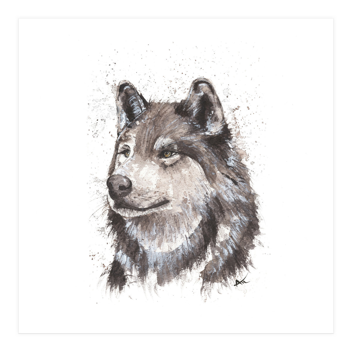 Wolf - Wildlife Collection (Print Only)