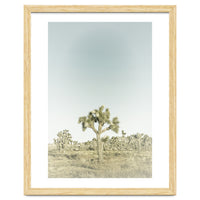 Vintage Joshua Tree