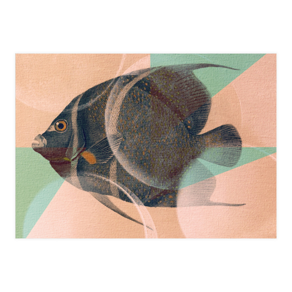 Fish Between Circles 2 (Print Only)