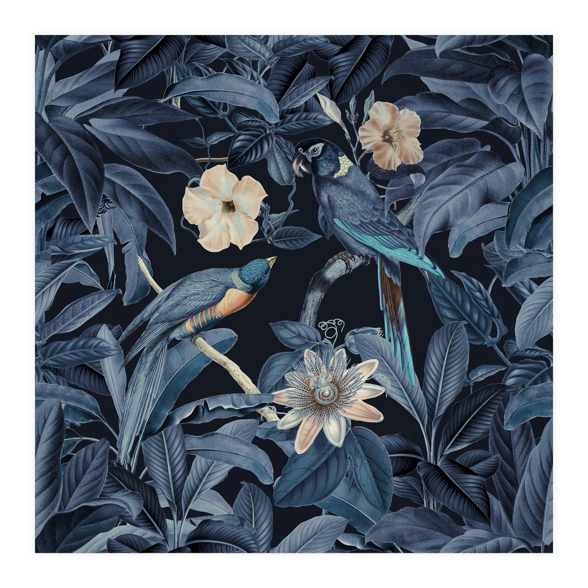 Exotic Jungle Birds At Night (Print Only)