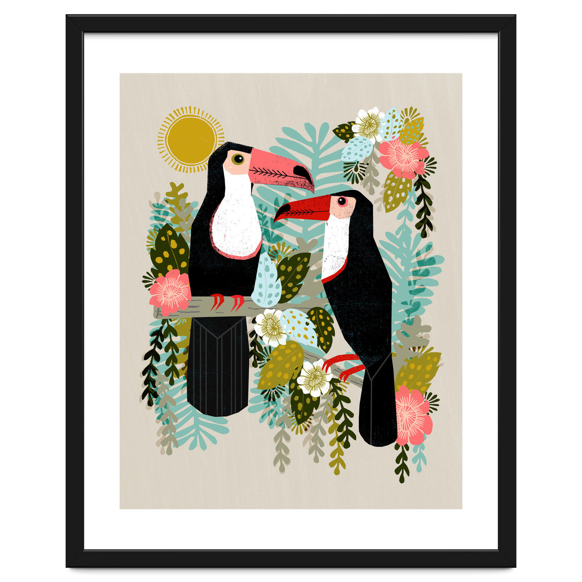 Toucans
