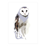 Owl (Print Only) thumbnail