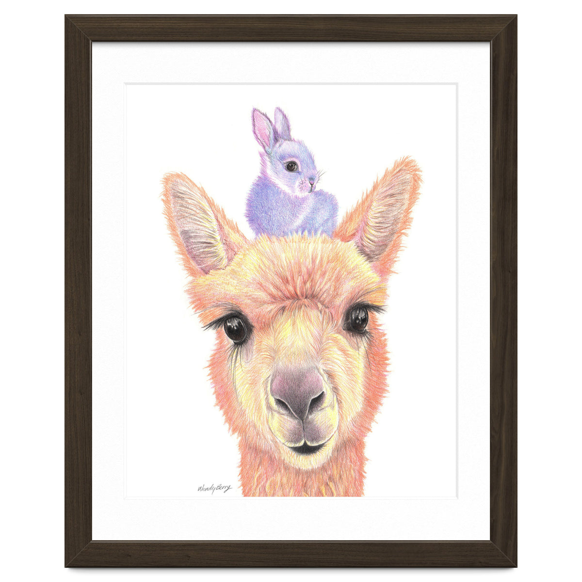 Alpaca and Bunny