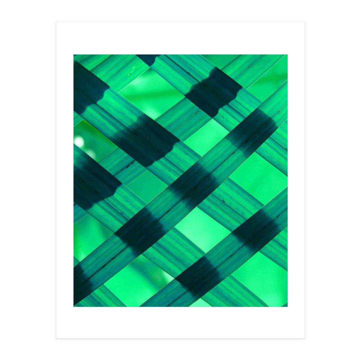 Shape Or Song (Print Only)