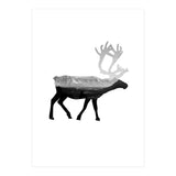 30 (Print Only) thumbnail