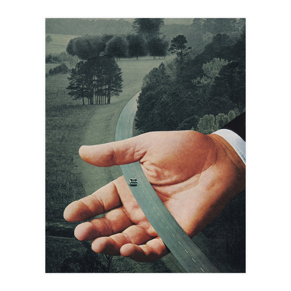 Comfort Zone (Print Only)