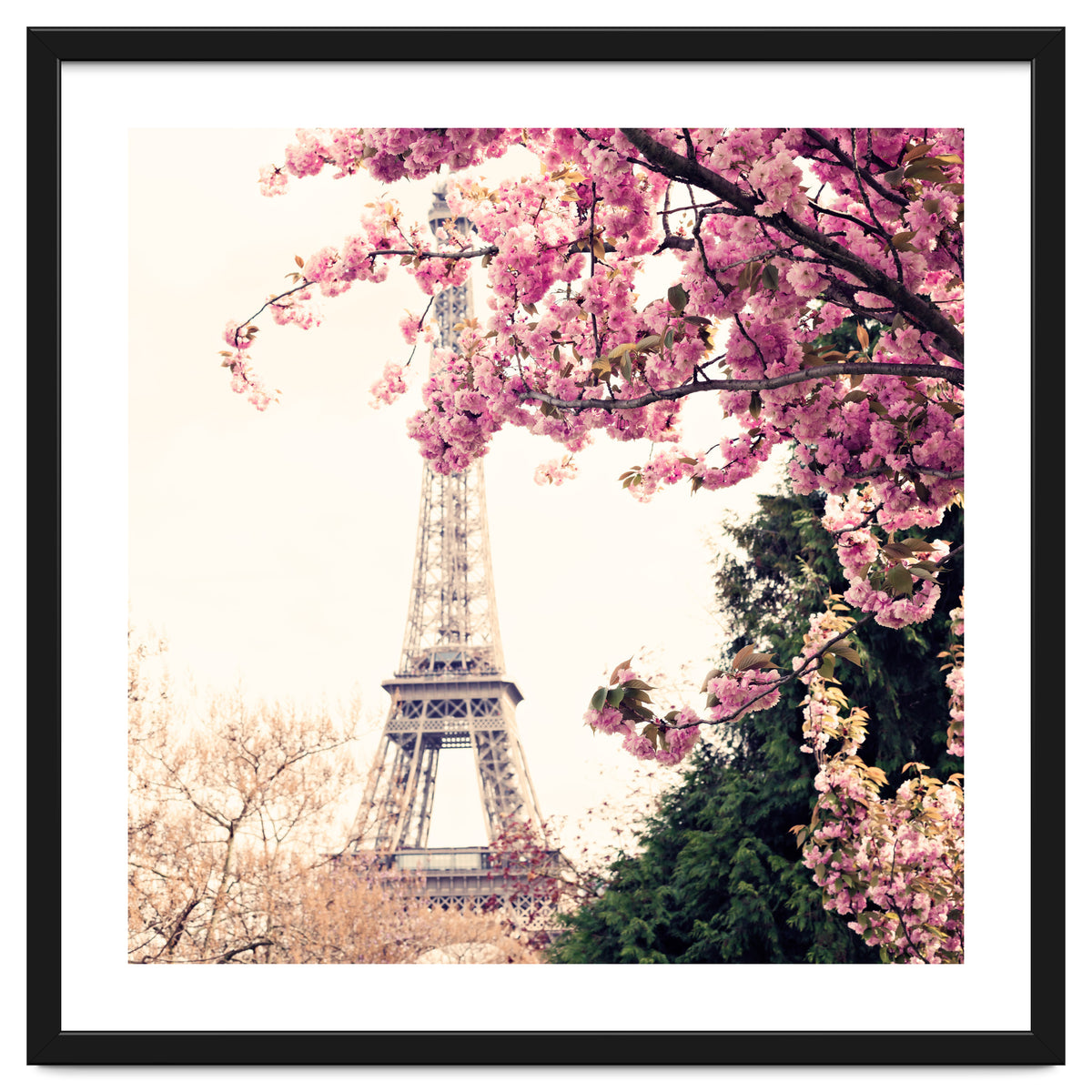 Paris in the Spring