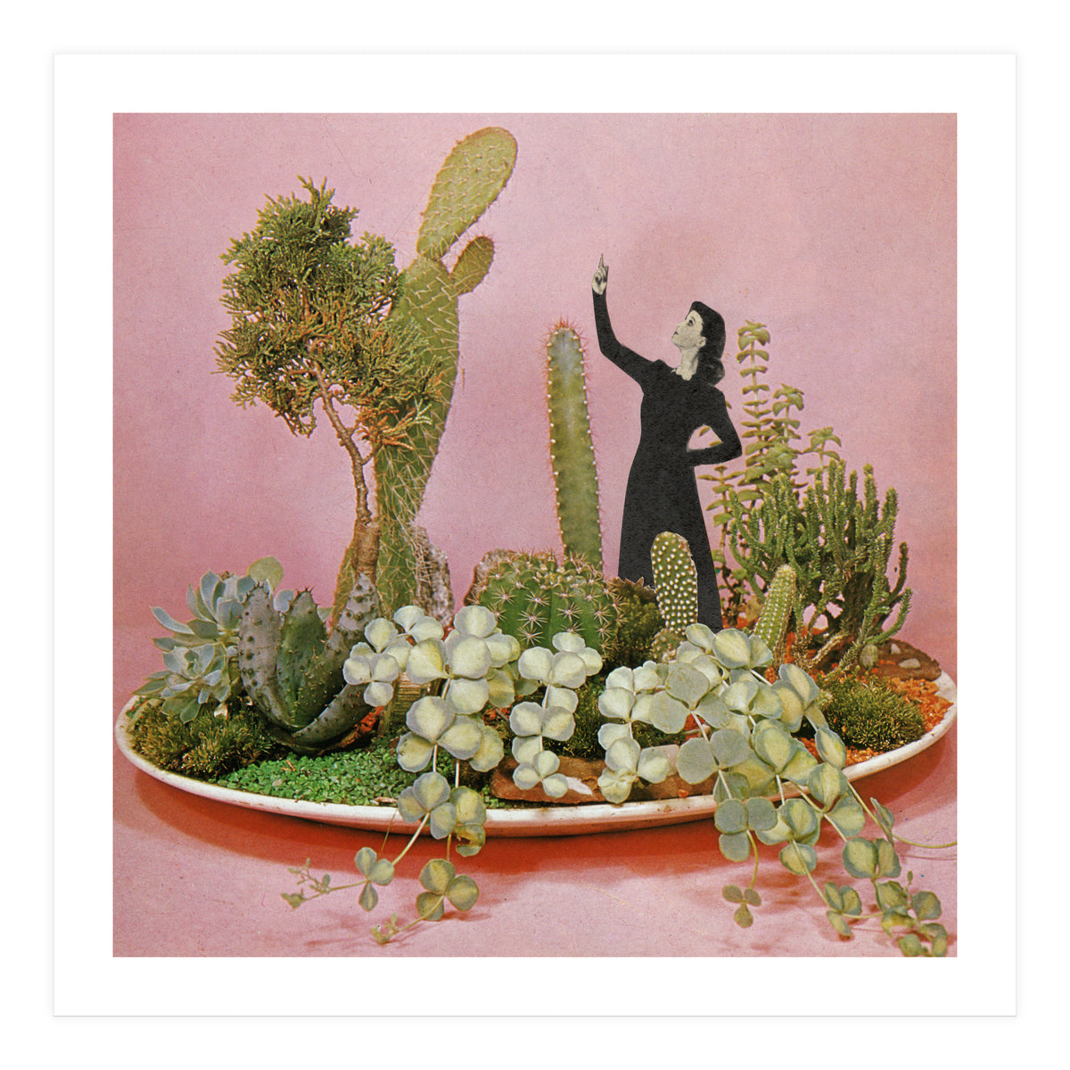 The Wonders Of Cactus Island (Print Only)