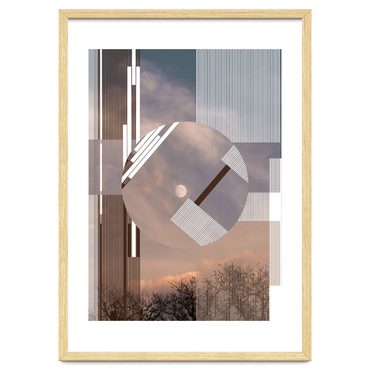 Temporal Global II Serie Urban Nature