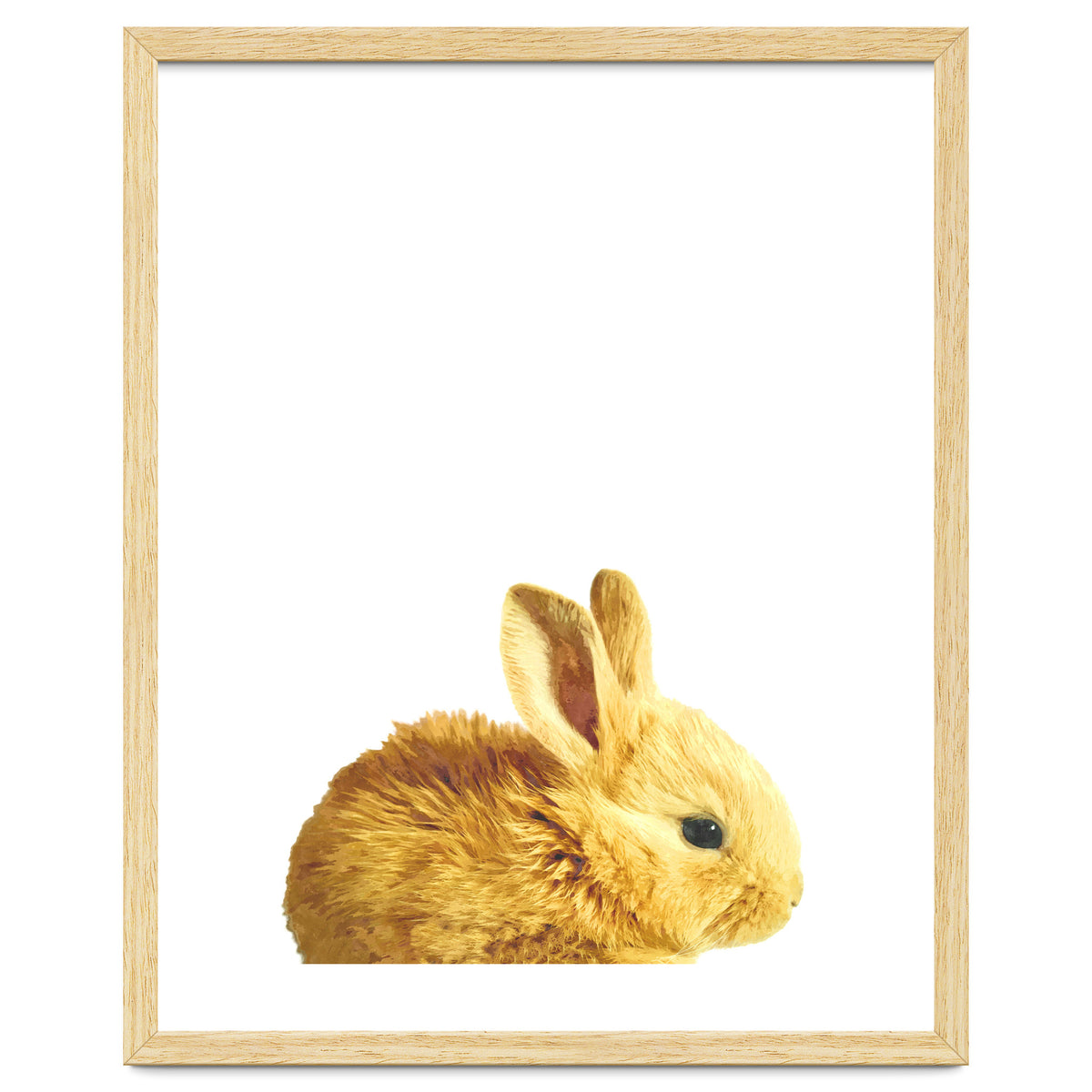 Bunny Portrait