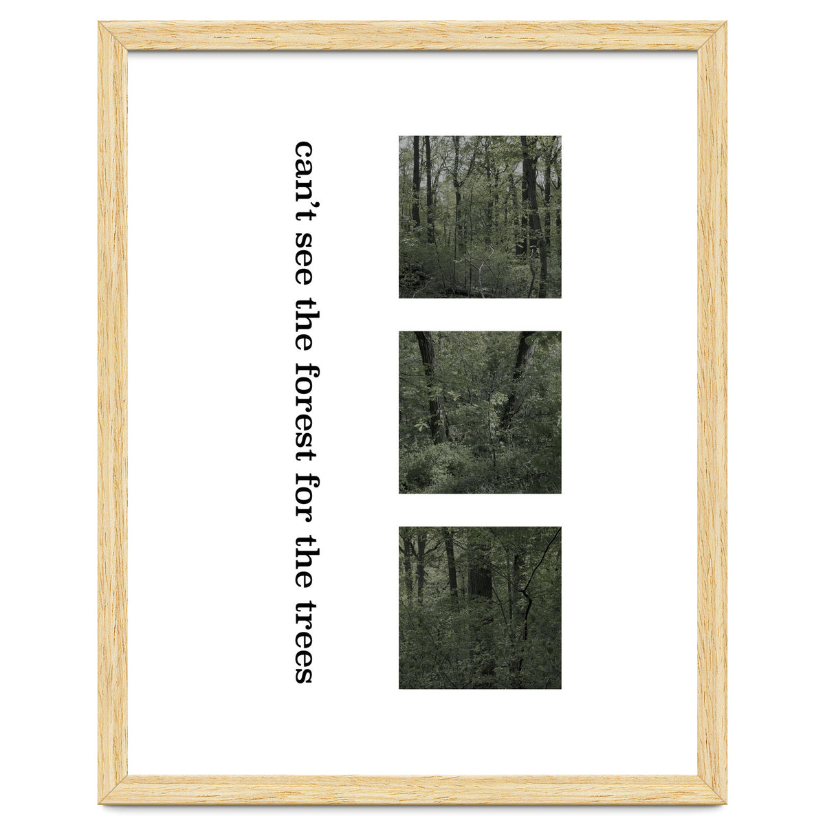 can’t see the forest for the trees